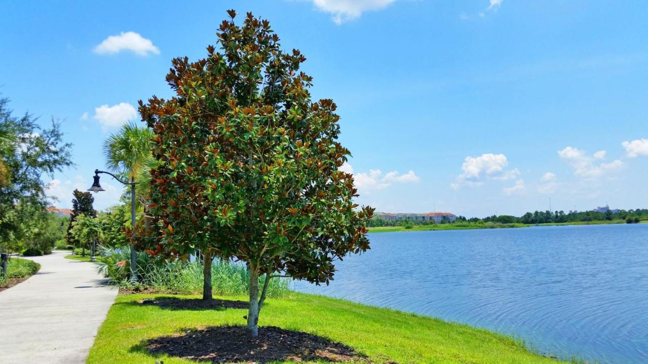 Luxury Vacation In This Gorgeous Vista Cay Condo Kissimmee Zewnętrze zdjęcie